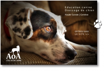 AoA - éducation canine