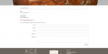ACE expertise - écran n°4