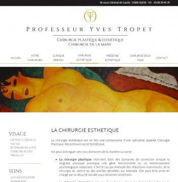 Professeur Yves Tropet - écran n°5